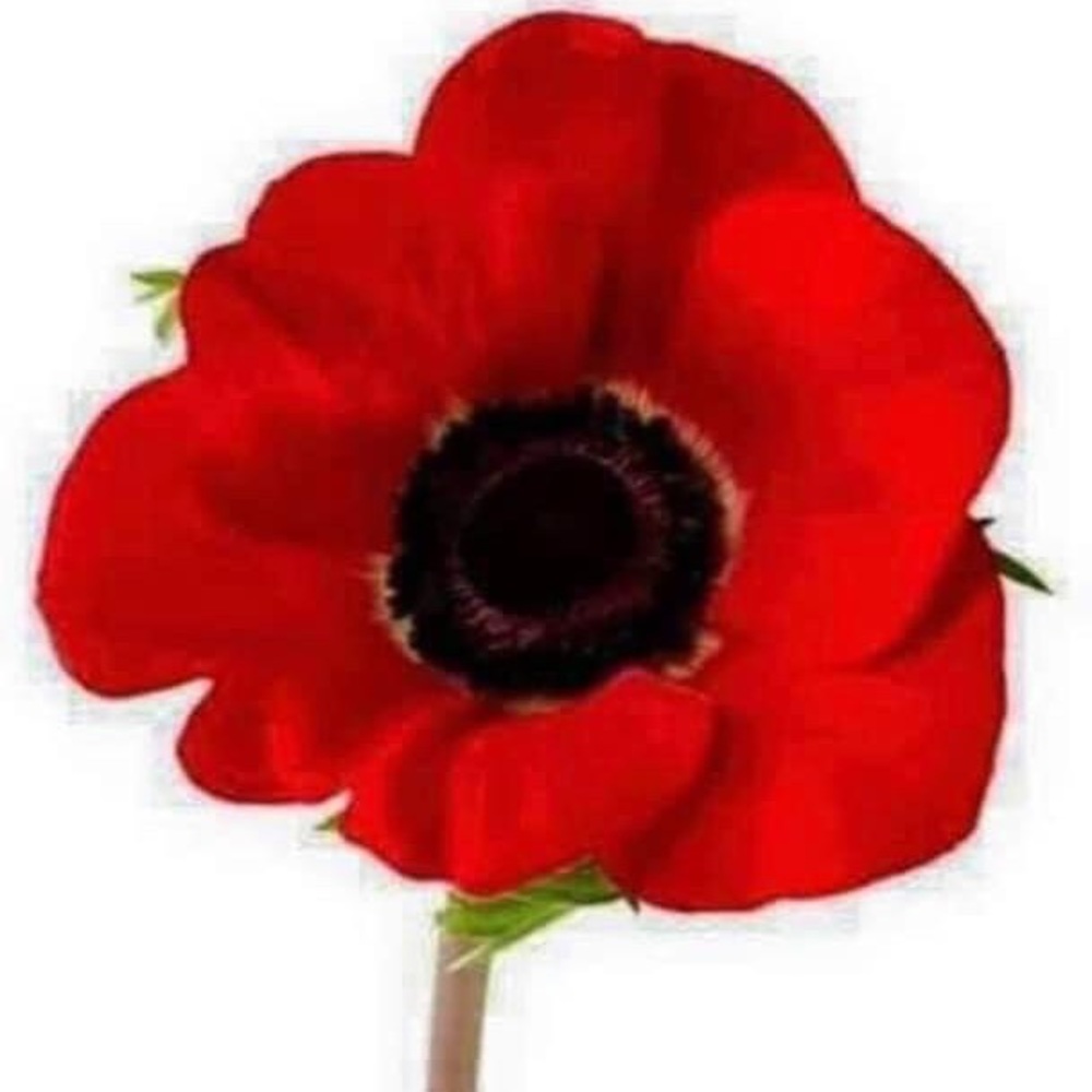 Meet your Posher, Terri